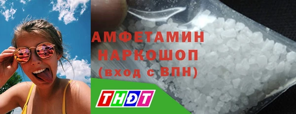 гидра Абаза