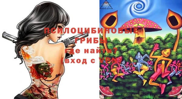 гидра Абаза
