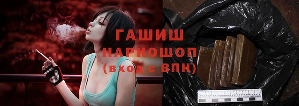 гидра Абаза