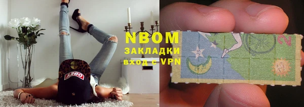 гидра Абаза