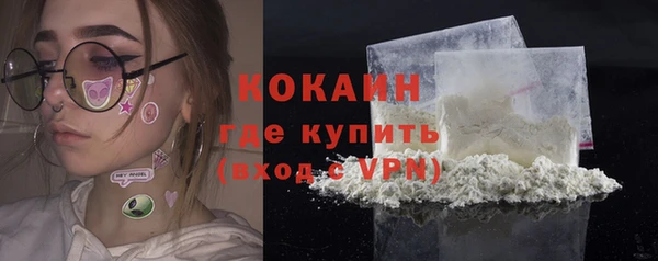 гидра Абаза