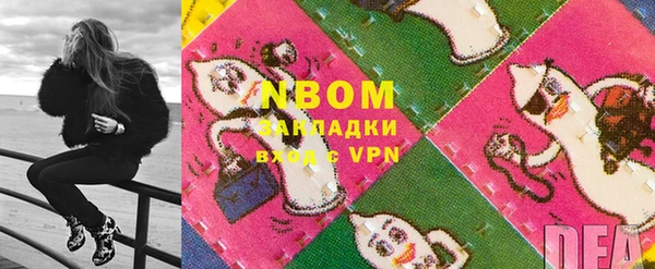 гидра Абаза